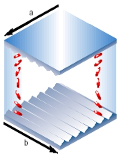 1572594866989115.png 1572594820.png