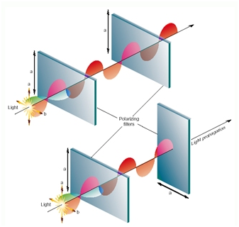 1572595214367729.png 1572595162(1).png