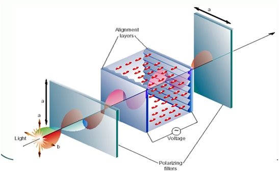 1572595440719143.png 1572595413(1).png